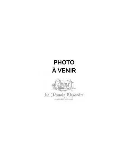 Saucisson Sec Artisanal "provenance Aveyron"- 230g (+/- 20g) - Le Manoir Alexandre