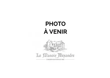 Saucisson Sec Artisanal "provenance Aveyron"- 230g (+/- 20g) - Le Manoir Alexandre