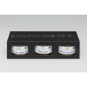 Terrines en trio